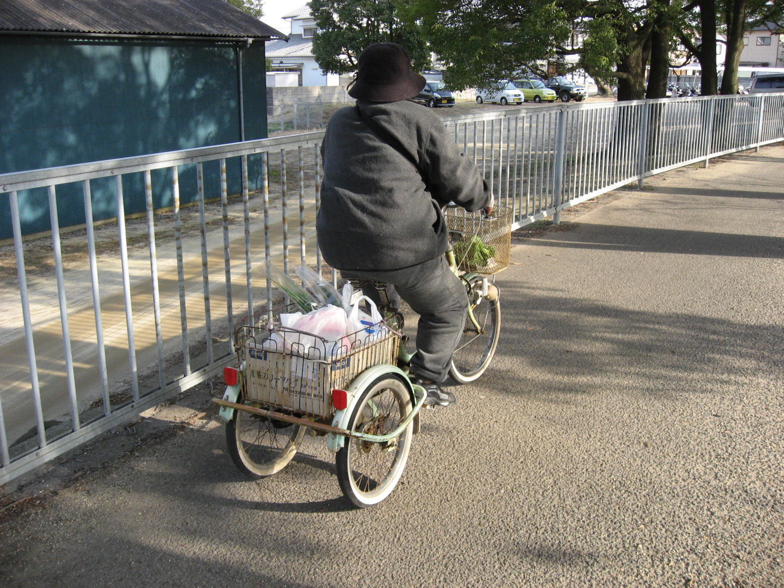 三輪自転車！: ヒゲおやじの気まま流野菜作り日記