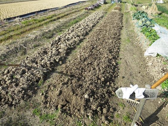 耕運機 畝作りウネ作り 家庭菜園 ジャガイモ農家 - 鹿児島県のその他